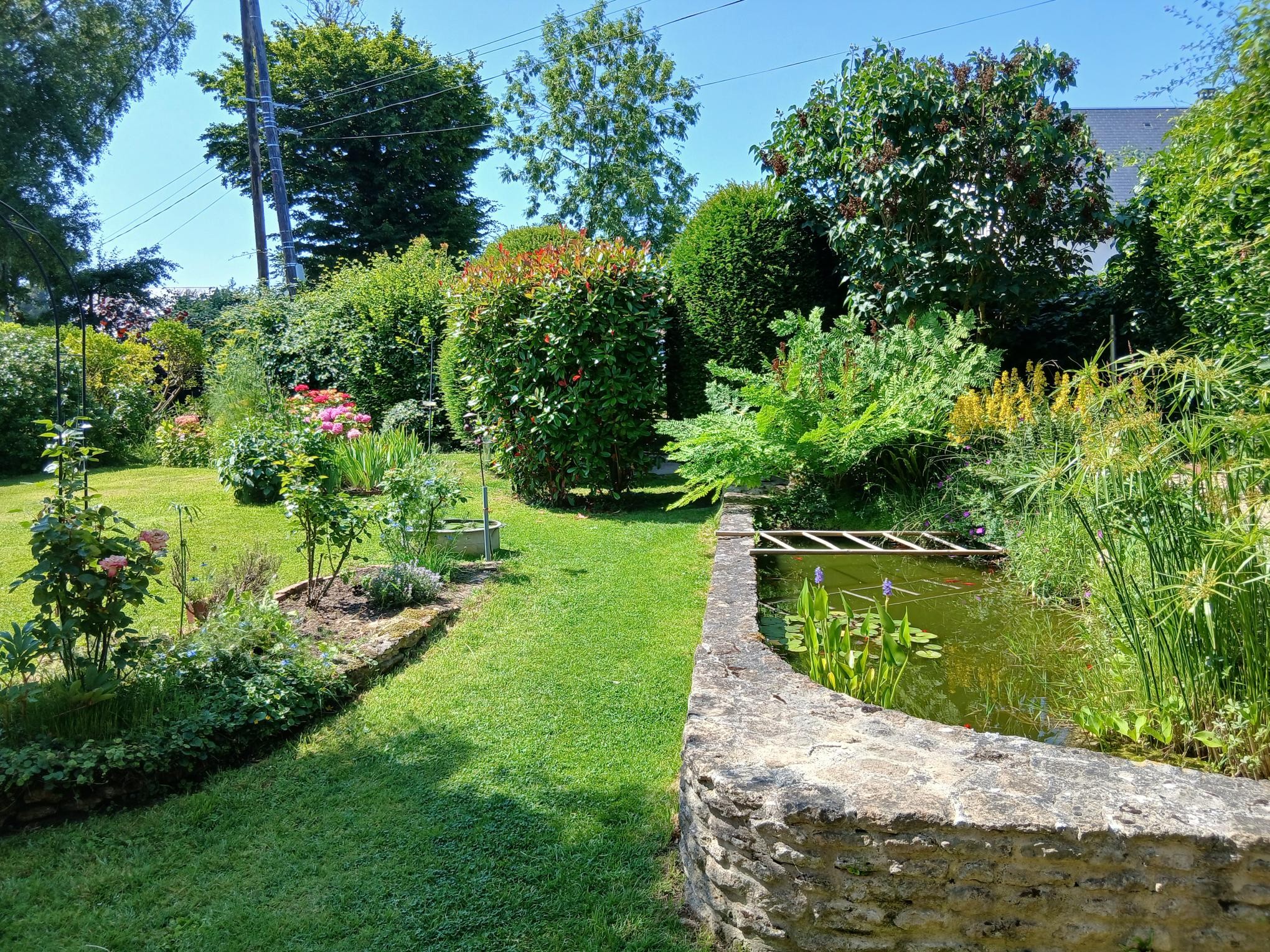 jardin fleuri