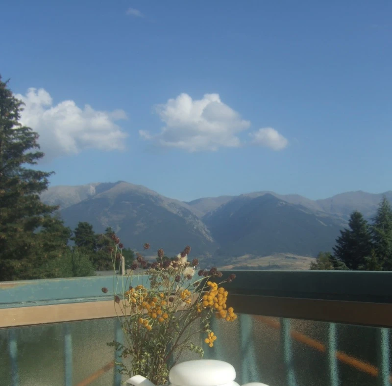 Photo n° 1 of the location