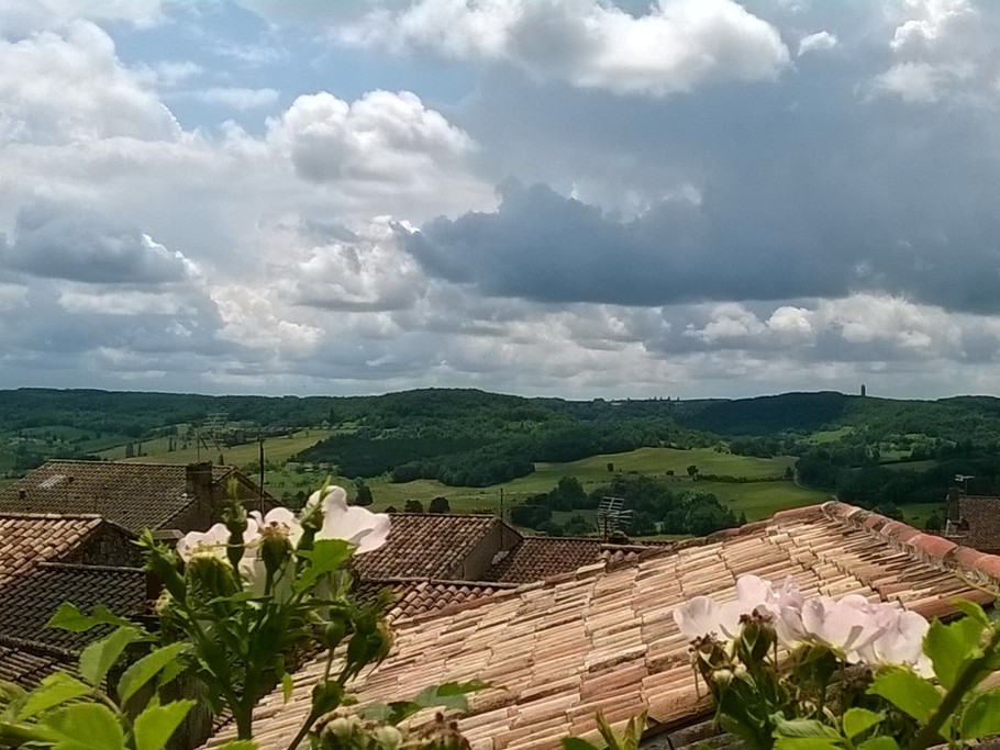 Vue depuis le jardin