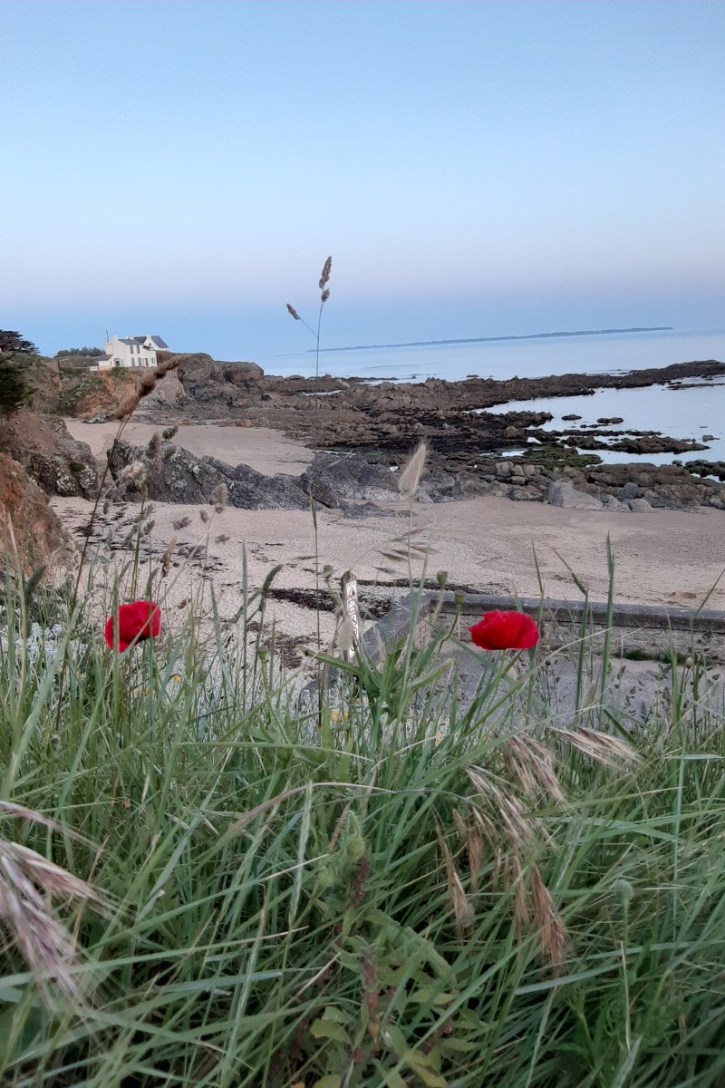 Photo n° 16 of the location