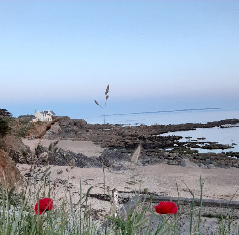 Photo n° 16 de la location