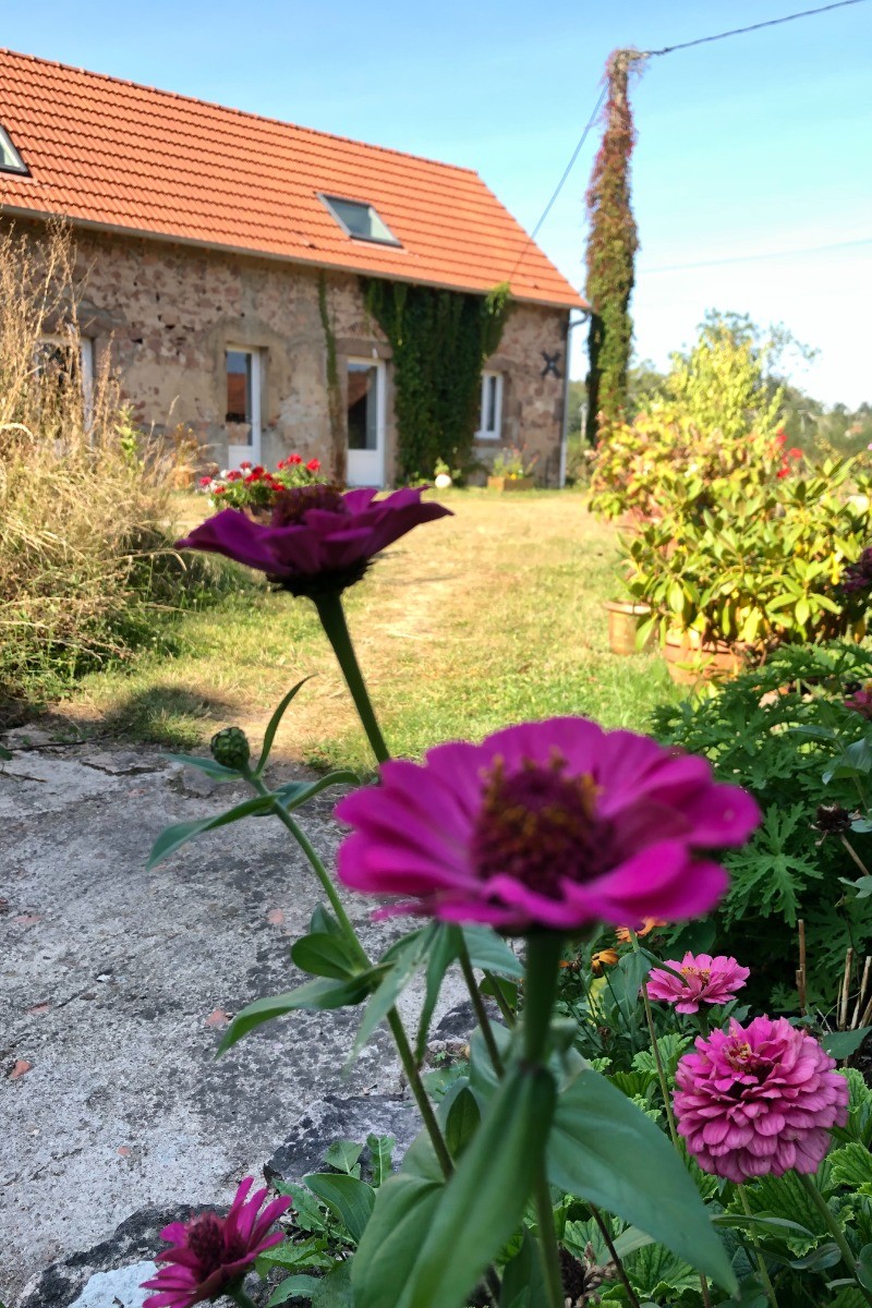 Notre jardin partagé avec nos hôtes