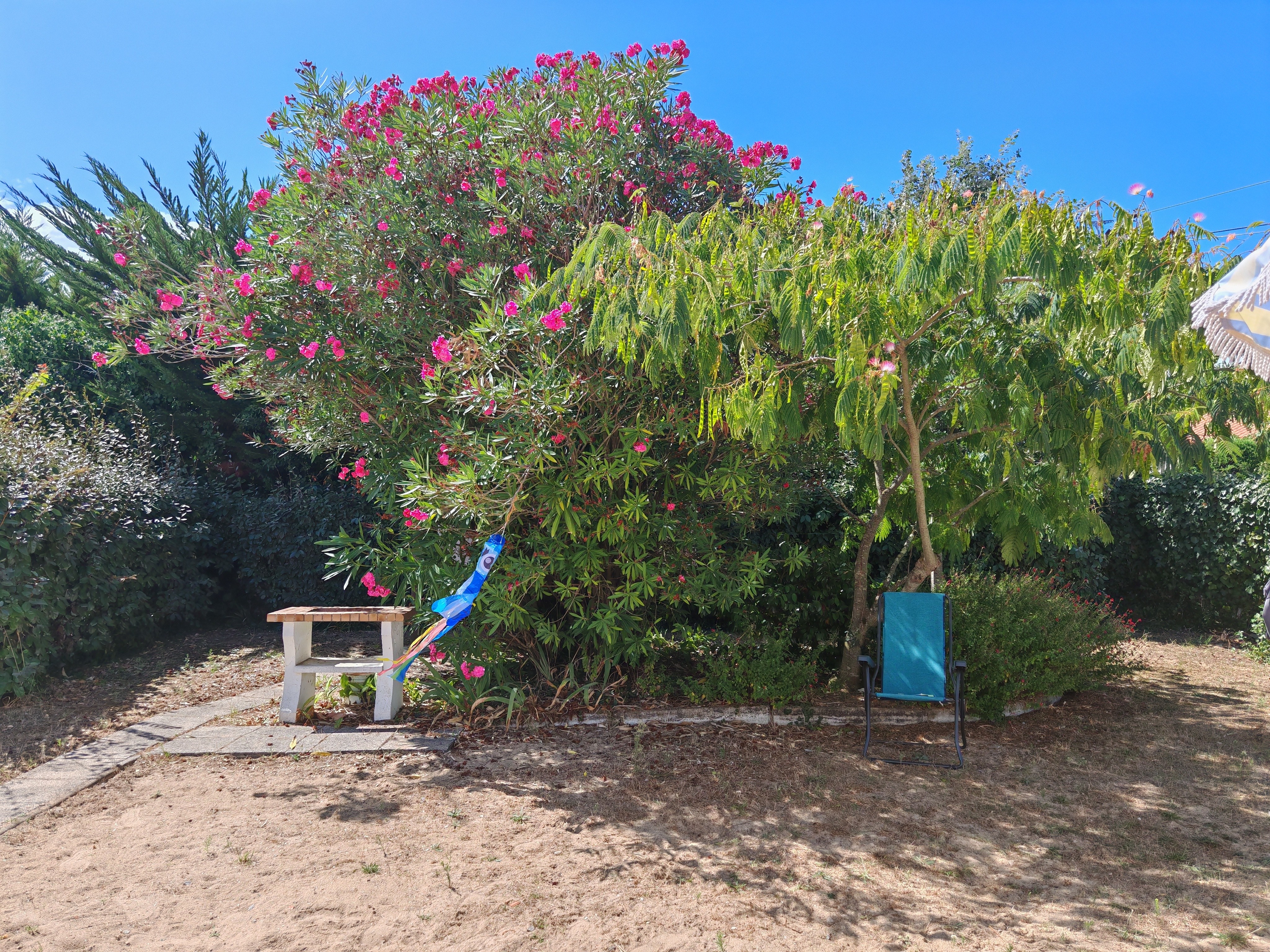 Photo n° 14 de la location