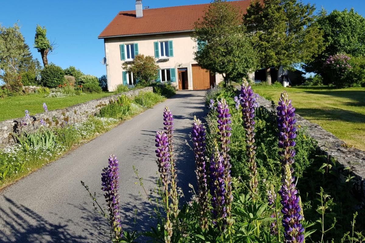 Photo n° 17 de la location
