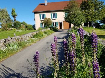 Photo n° 17 de la location