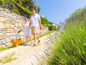 Chiens bienvenus