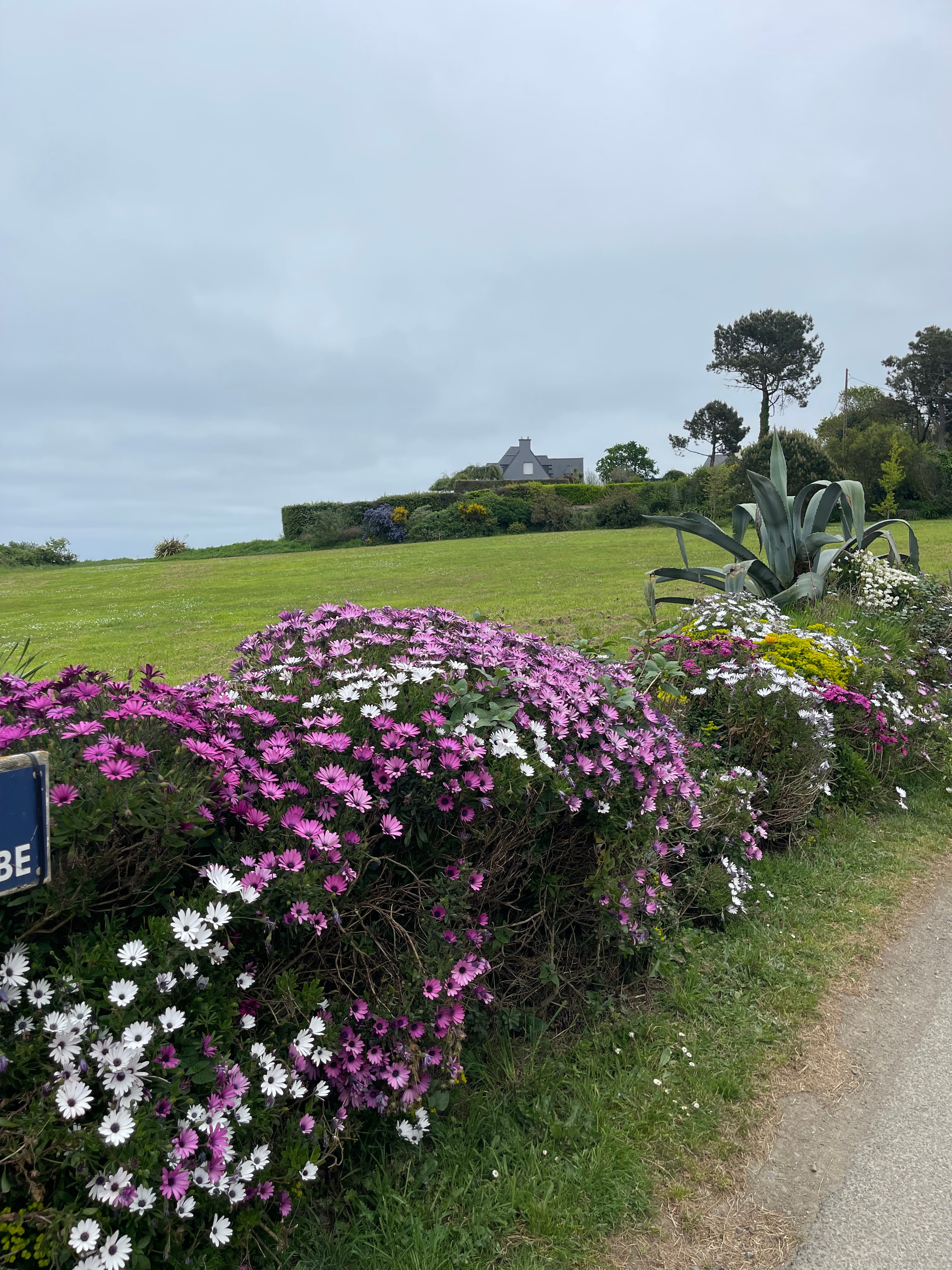 Vu près de la chapelle