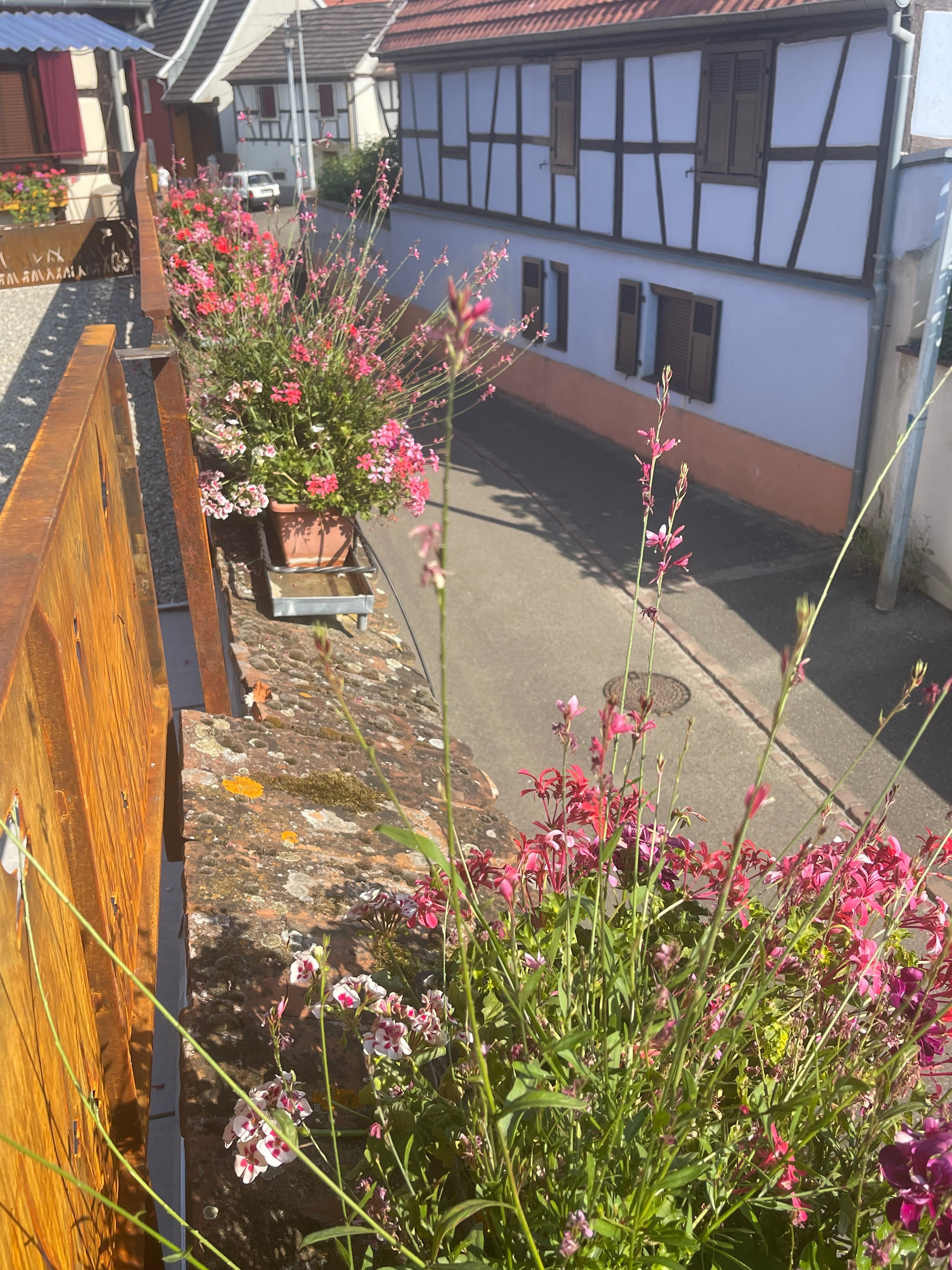 Photo n° 14 of the location