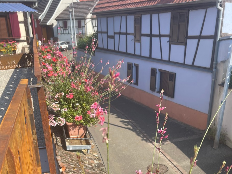 Photo n° 14 of the location