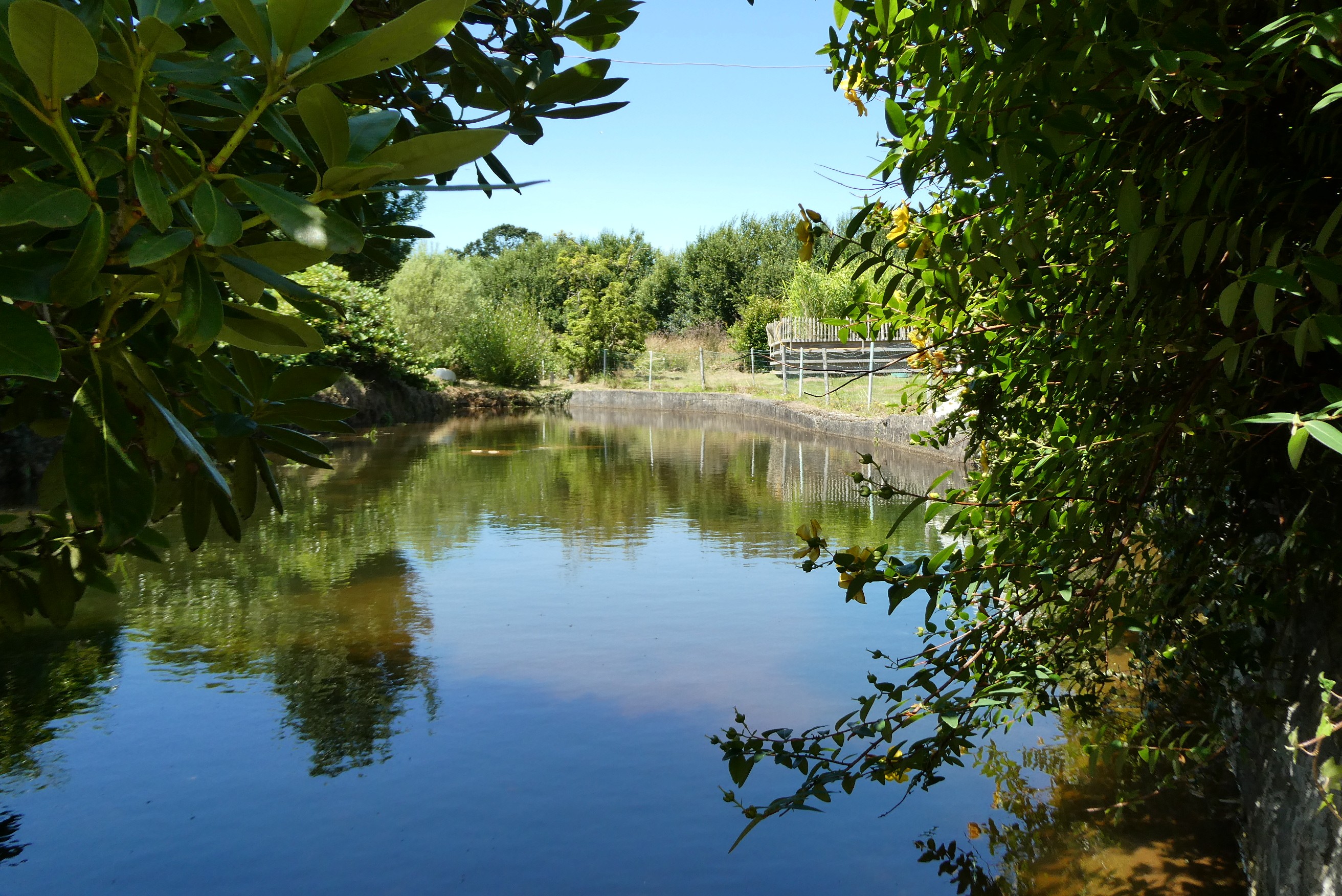 Moulin pond