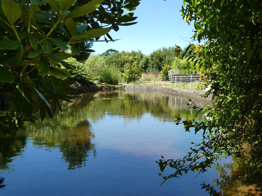 Moulin pond