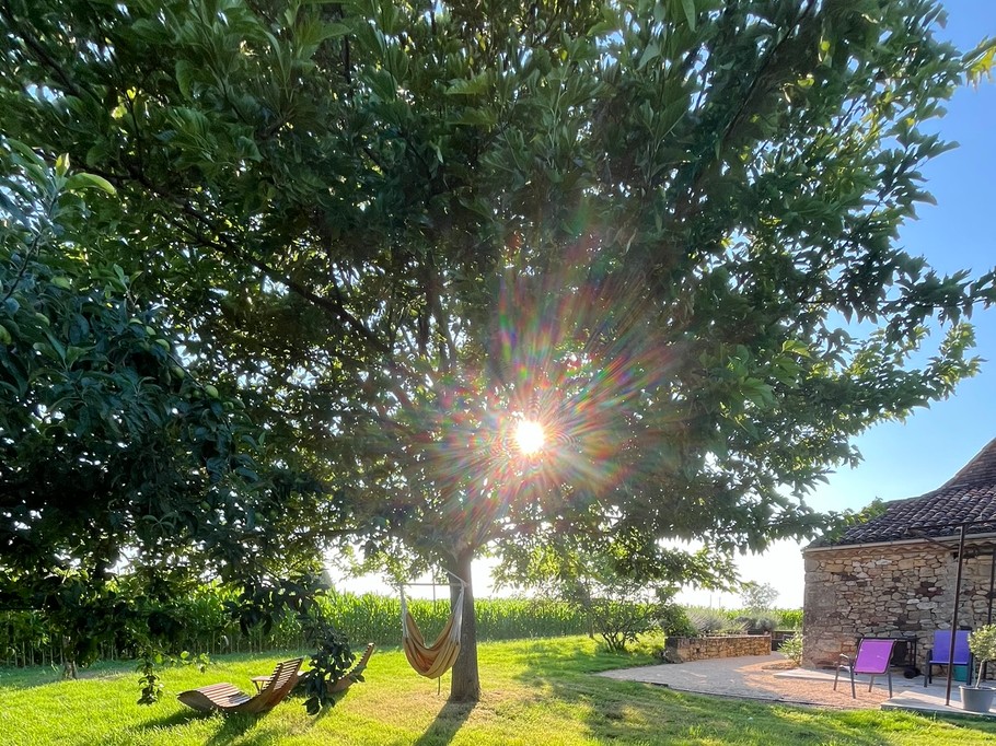 Photo n° 6 of the location