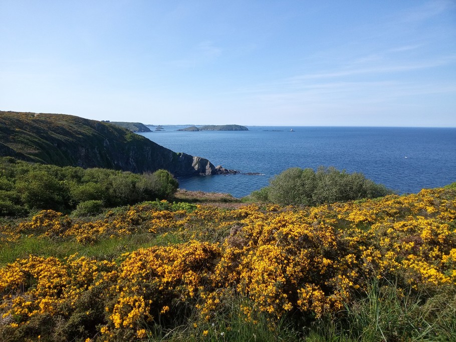 The Goelo coast, the cliff route