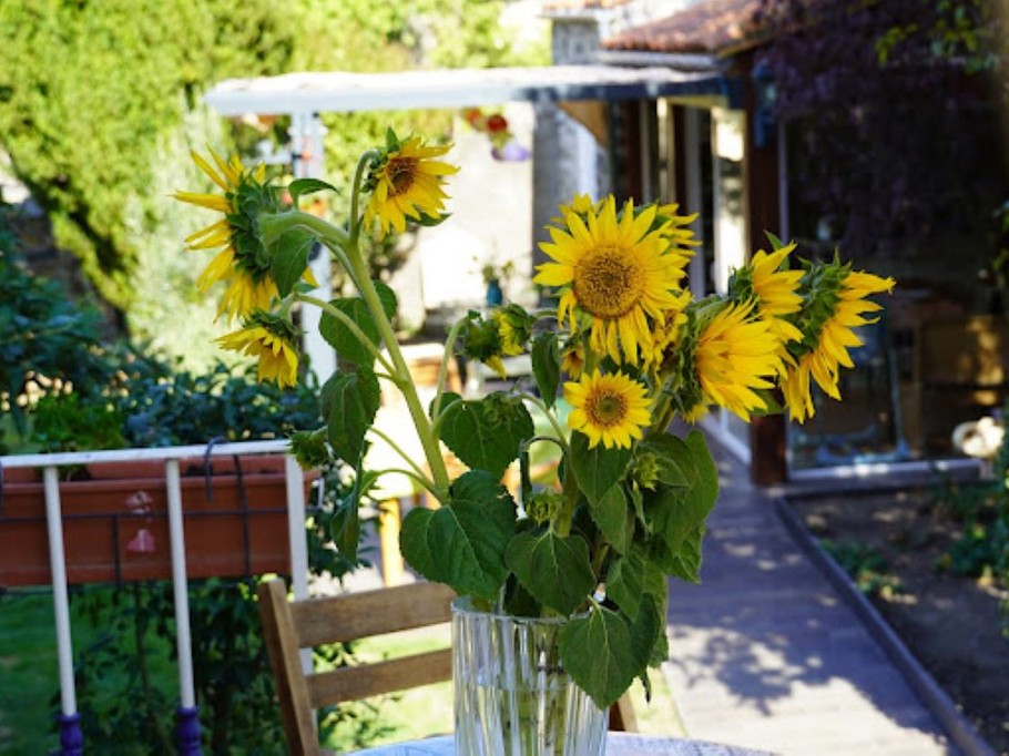 Photo n° 6 de la location