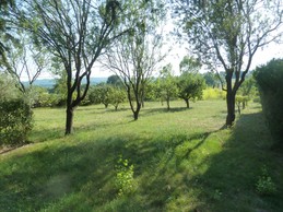 Image n° 3 de la location