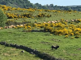 Image n° 3 de la location