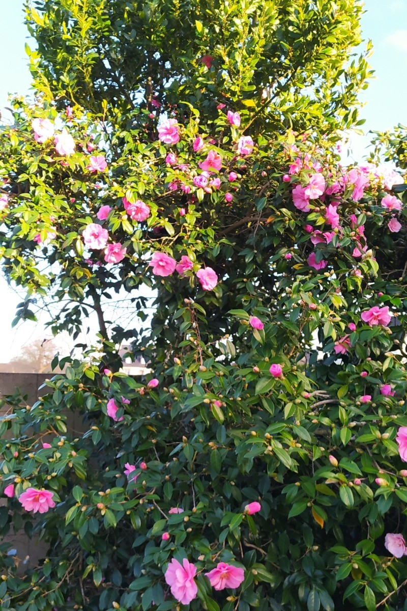 Photo n° 17 of the location