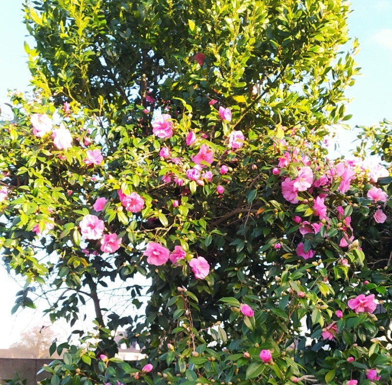 Photo n° 17 de la location