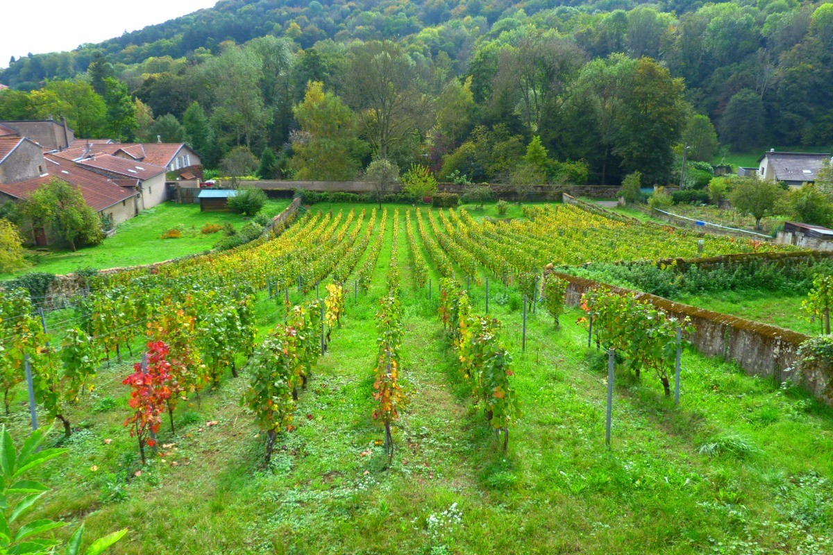 Photo n° 18 of the location