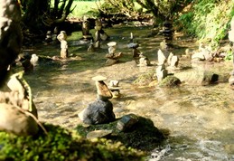 Image n° 5 de la location