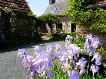 " Mayline " dans son écrin de fleurs