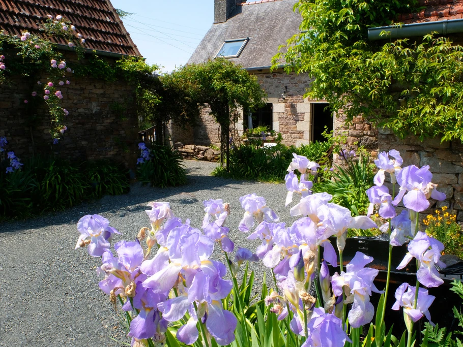 " Mayline " dans son écrin de fleurs