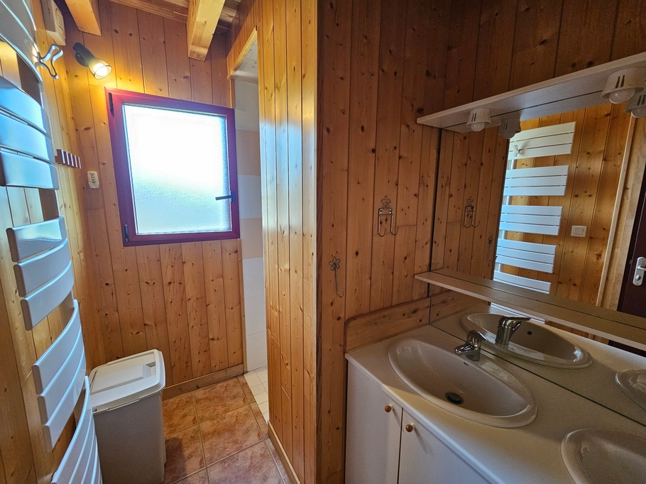 "Les Chamois" holiday cottage in Mont-Dore: The bathroom