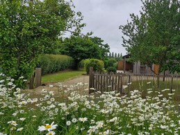 Image n° 4 de la location