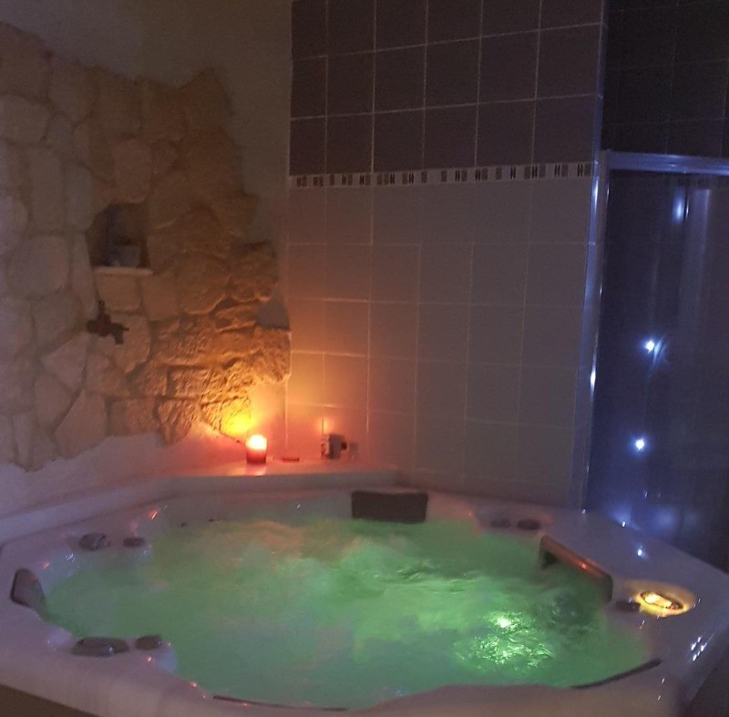 Espace SPA / jacuzzi, sauna, douche