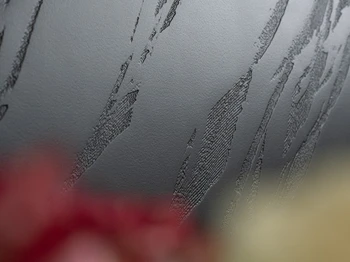 Ambiance - Studios Belross Le Saphir