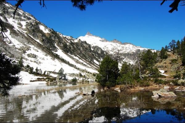 Facilement accessibles, les laquettes d'Aubert