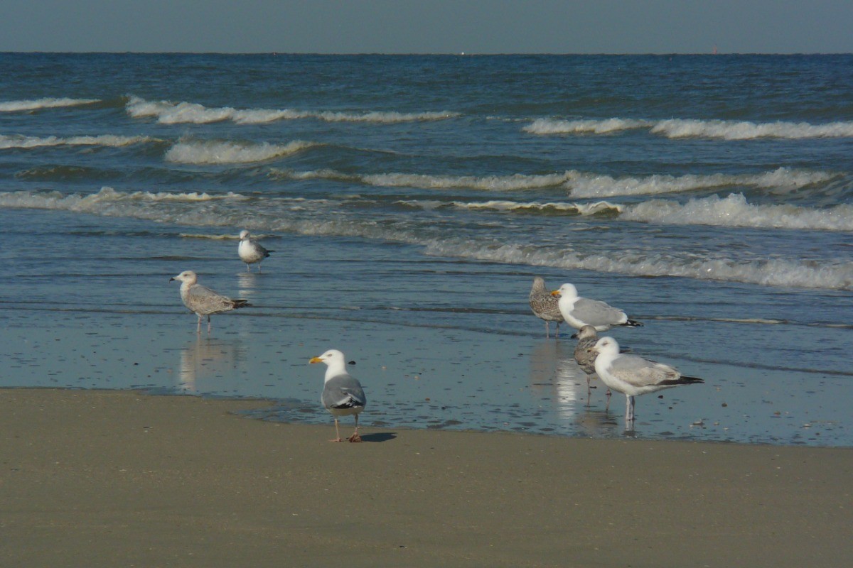 les plus belles plages de sable fin du littoral
