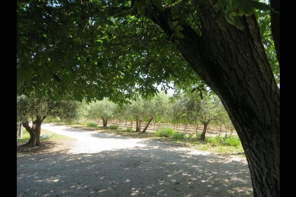 Photo n° 17 of the location