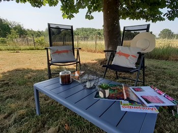 Jardin - sous le grand marronnier