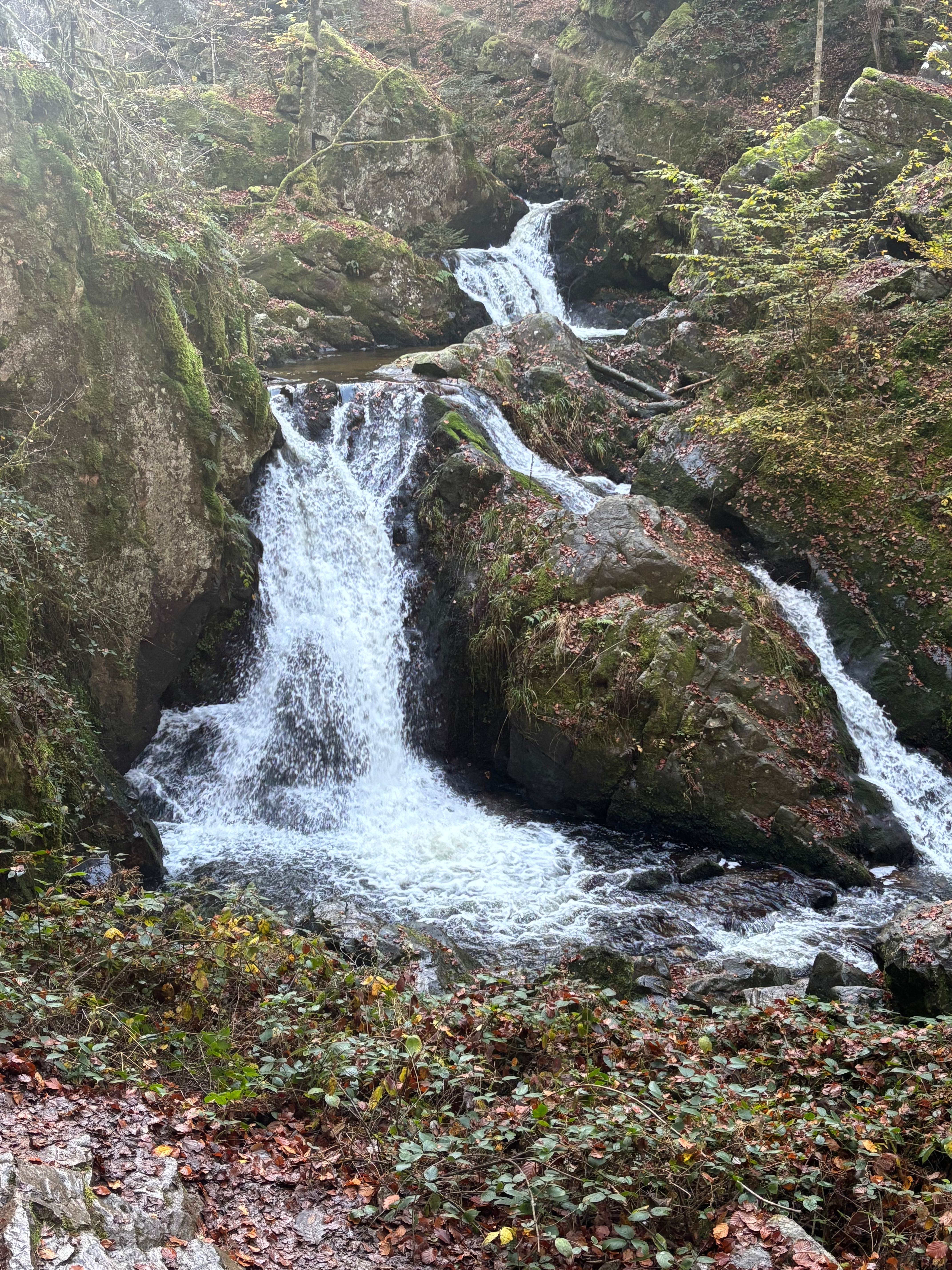 Les cascades de tendon 
