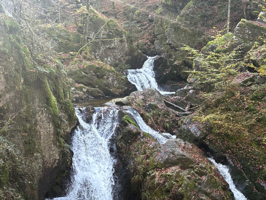 Les cascades de tendon