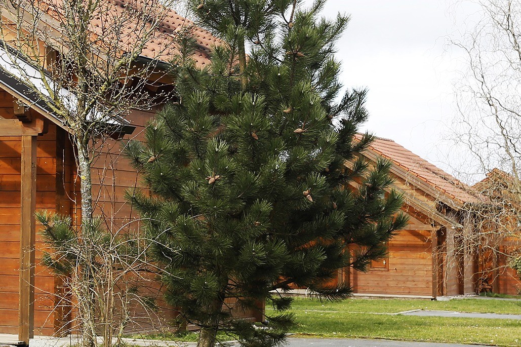 Photo n° 3 of the location
