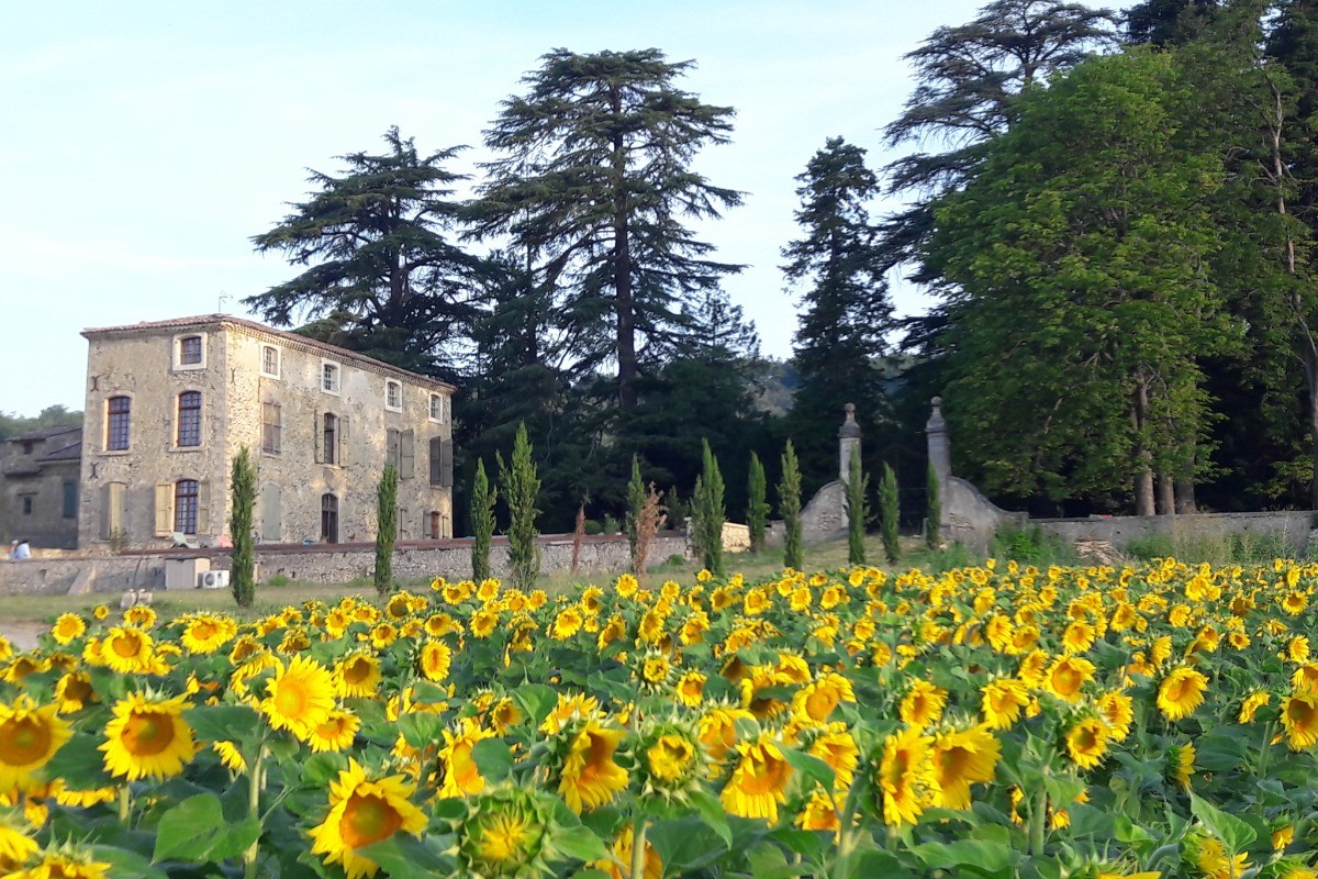 La Bastide de l'Adrech, Gîte des Vignes, Manosque, Provence