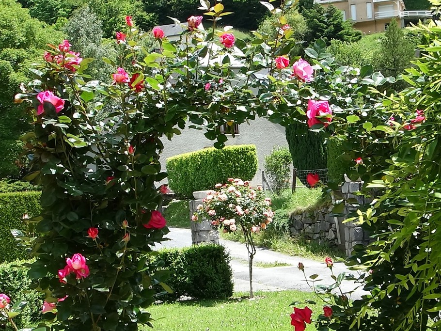 Photo n° 4 de la location