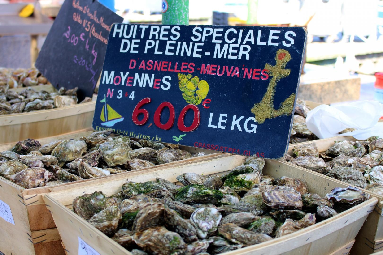 Huitres gîte le carbet d'asnelles