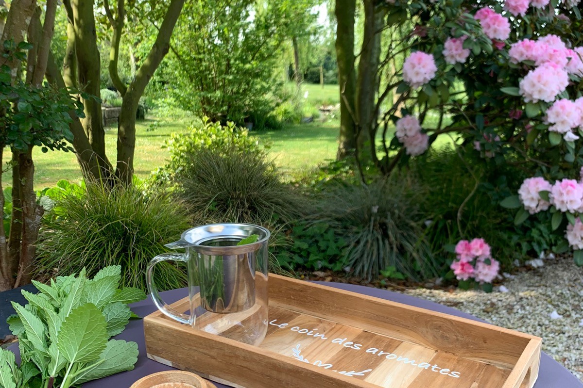 terrasse et jardin depuis la chambre Angélique