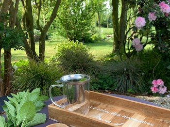 terrasse et jardin depuis la chambre Angélique