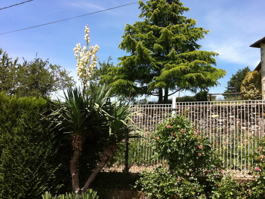 Photo n° 17 de la location