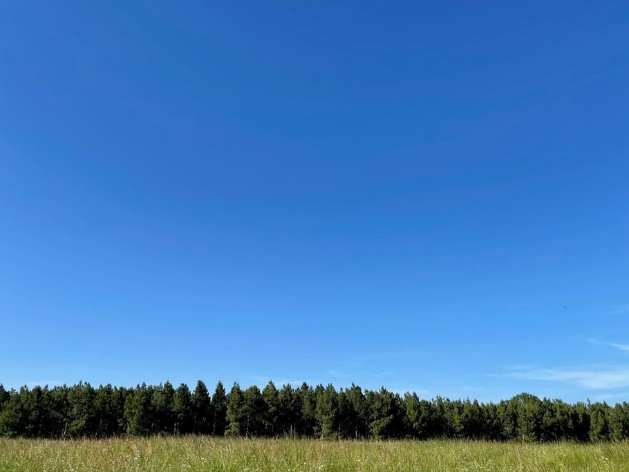 Vue depuis la piscine