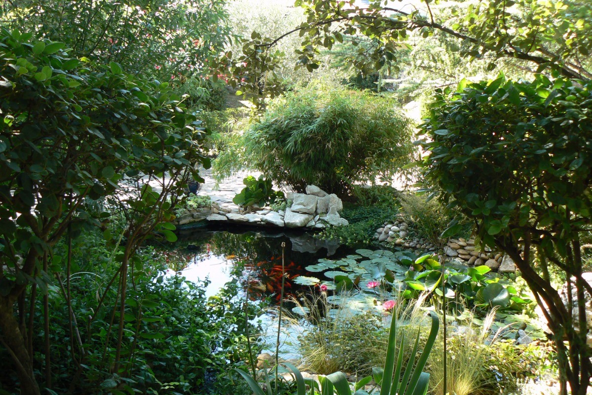 Etang et oasis provençale