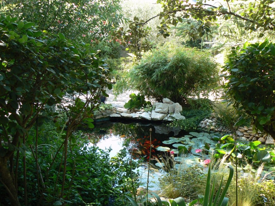 Etang et oasis provençale