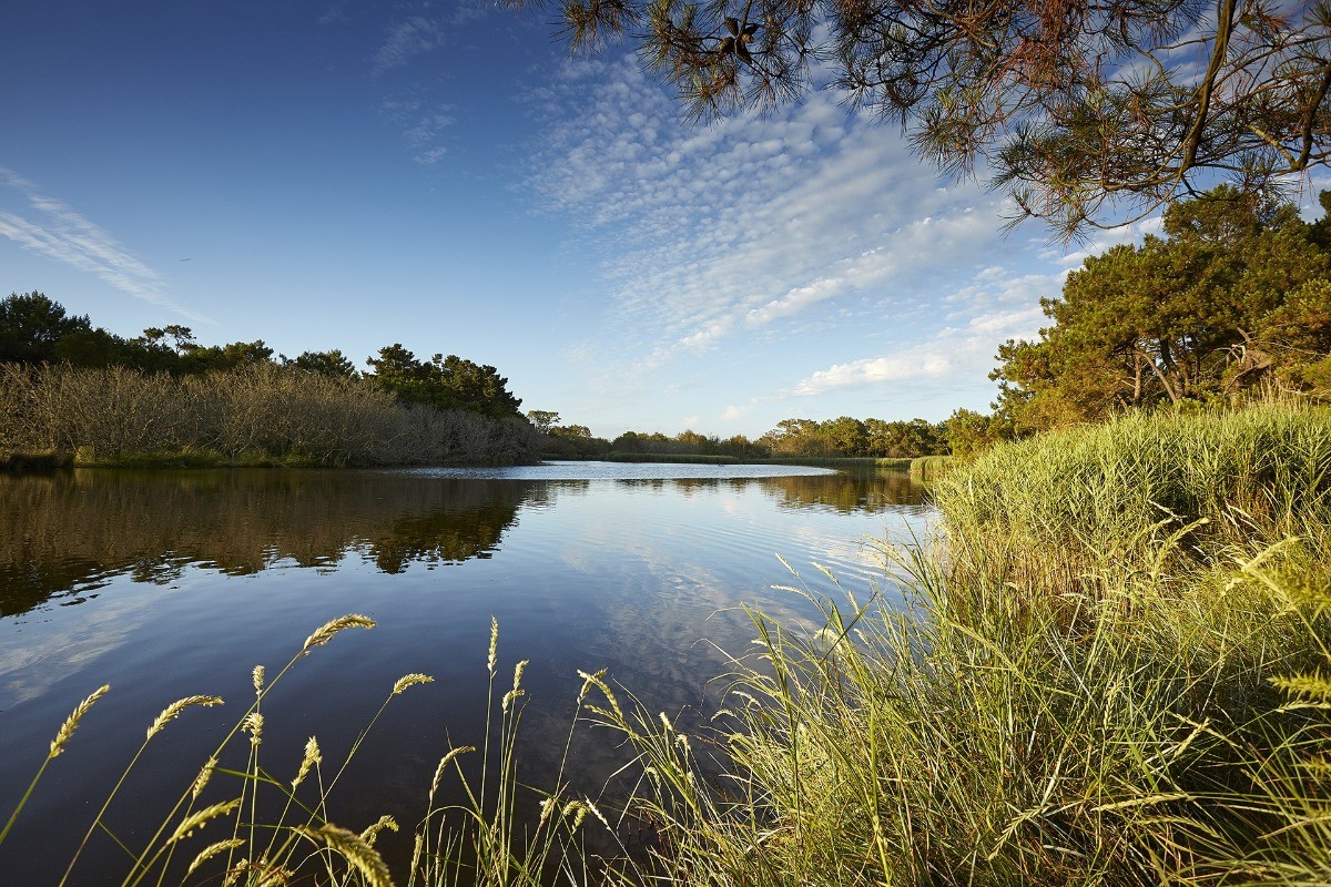 marais de Mousterlin