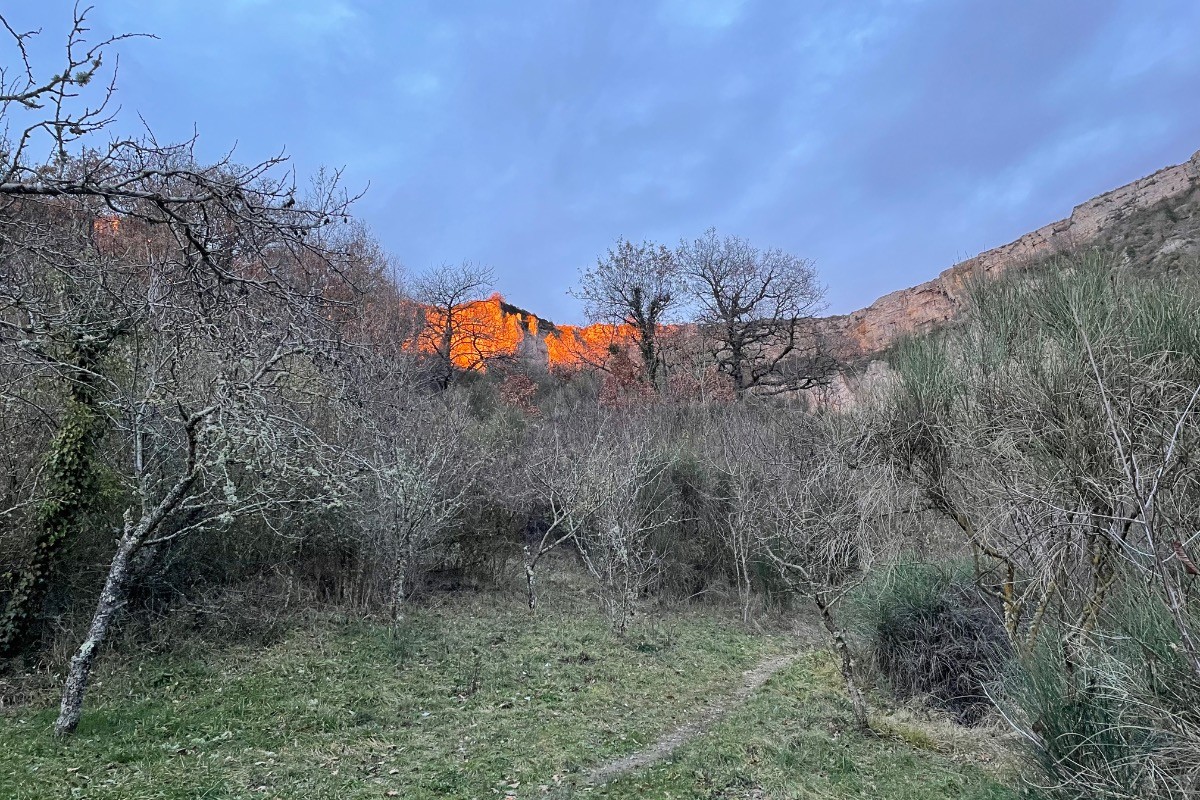 Photo n° 11 de la location