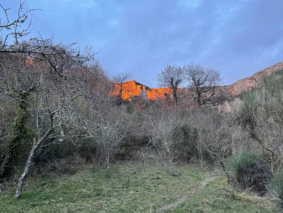 Photo n° 11 de la location