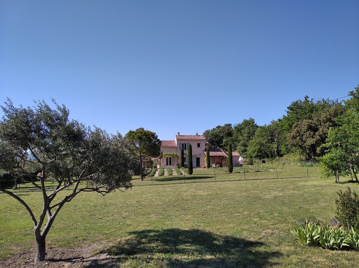 lawn